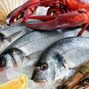 frutos do mar para a dieta mediterrânea